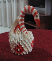/album/galleria-foto-homepage/cigno-13-francesco-jpg2/